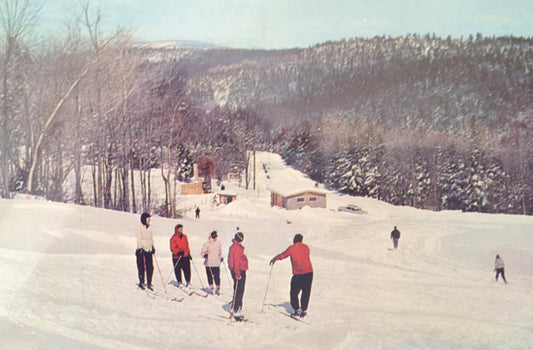 From Lost Ski Area to Showroom for Green Home Decor