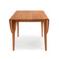 Catalina Drop-Leaf Dining Table by Copeland Furniture, solid wood, handcrafted with four straight legs, American made for lasting quality.