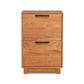 Linear Narrow File Cabinet by Copeland Furniture with two drawers, black handles, and crafted from sustainably sourced hardwoods.