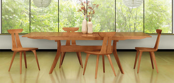 Mid Century Modern Dining Chairs