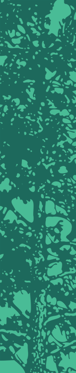 A green background with a lot of ripples.
