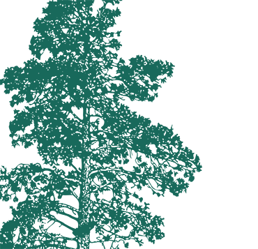 Background illustration of tree