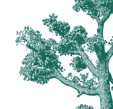 Background illustration of tree
