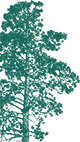 A green background with a white background.